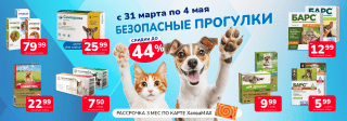 Безопасные прогулки 31 марта - 4 мая 2025