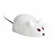 Игрушка Мышь заводная, для кошек, белая, 7 см
