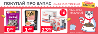 Акция месяца!