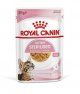 Пауч Royal Canin для стерилизованных котят, кусочки в желе, KITTEN STERILIZED, 85 г