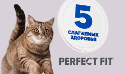 Линейка Perfect Fit расширяется: Комплексная забота о здоровье вашего питомца!