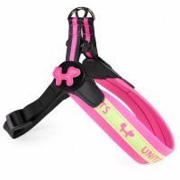 Шлейка United Pets для собак, розовая с желтым, Complete me, 1,5 x 34-42 см